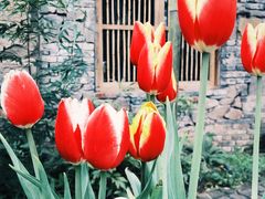 -驿舍·民國老营房院子私房菜(科学会堂店)