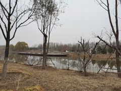-东郊湿地公园