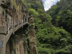 -天台山琼台仙谷景区