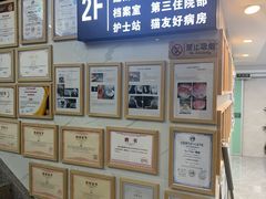 -半岛宠物医院24小时·内窥镜·牙科·碎石中心(府城大道店)