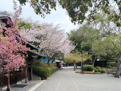 -水前寺成趣园