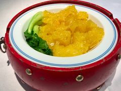 藏红花扒广肚-阿五黄河大鲤鱼(英协路店)