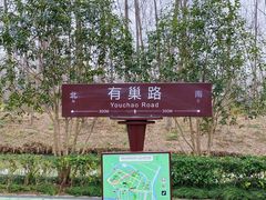 -合肥滨湖国家森林公园