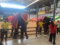 -东芭乐园