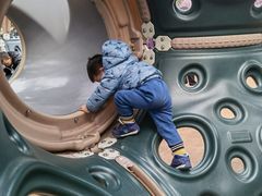 -枫香湖儿童公园