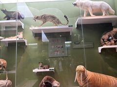 -国家自然博物馆