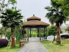 -枫香湖儿童公园
