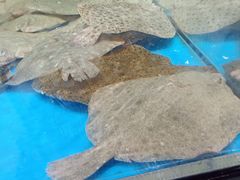 -盒马鲜生(联投广场店)