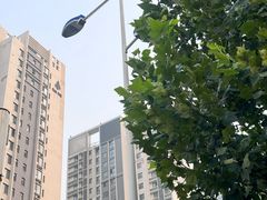 -郑州正方元国际酒店
