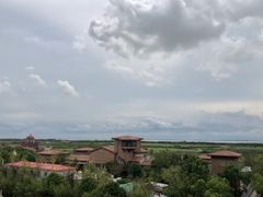 -上海崇明金茂凯悦酒店