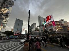 -涩谷全向十字路口