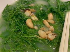 上汤龙须菜-顺德了能馆(虎门店)