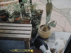 -旧雨咖啡·CoffeeFORU(黄村奥体店)