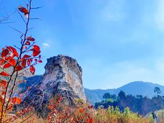 -树山生态村