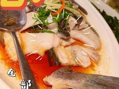 -巡味顺德菜(龙华壹方城店)