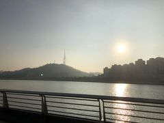 -野狸岛