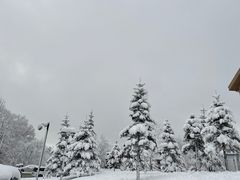 -长白山万达喜来登度假酒店