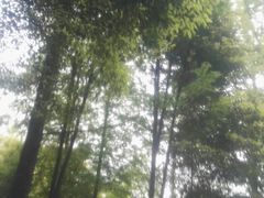 -花水湾第一村温泉大酒店