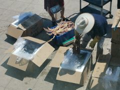 -蟹之国·精品蟹料理(极地店)