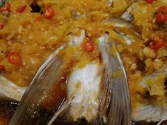 -锦粤宫·融合粤菜(上海金沙江店)