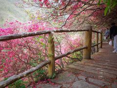 -木兰云雾山