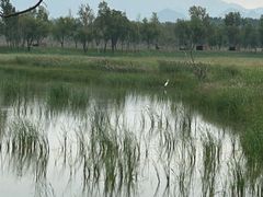 -野鸭湖国家湿地公园