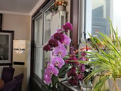 -北京龙庆四季香农家饭庄·灶台鱼·碳烤虹鳟鱼(龙庆峡店)