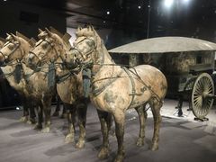 -秦始皇帝陵博物院-丽山园