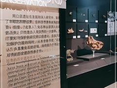 -北京周口店北京人遗址博物馆