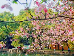 -西园戒幢律寺