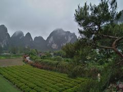-靖西鹅泉风景区