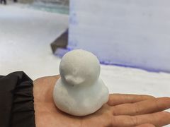 -宁波冰雪大世界(北仑区)