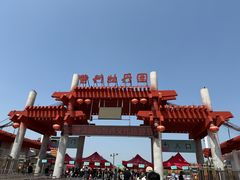 -曹州牡丹园