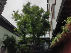 -湖鲜楼