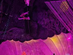 -广州长隆国际大马戏