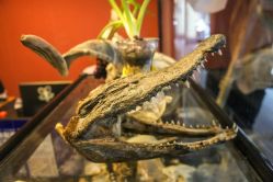 武汉最专业的纹身店 湖佛刺青-武汉湖佛纹身