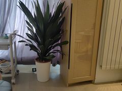 -艾通康缘艾灸.疼痛.睡眠养生馆(凤凰城店)