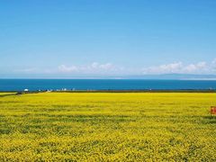 -青海湖国家重点风景名胜区