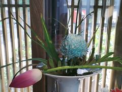 -鲤院·新中式美学·庭院餐厅(夫子庙店)