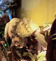 -恐龙探索乐园(磁器口店)