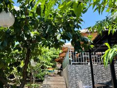 -桃源山庄·水蜜桃采摘·柴火鸡·烧烤团建(龙泉山店)