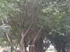 -广州雕塑公园
