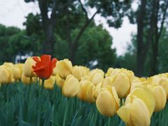 -玄武湖景区-情侣园游乐场