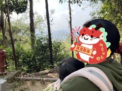 -大雁山风景区