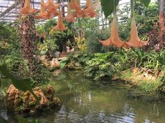 -南通洲际绿博园