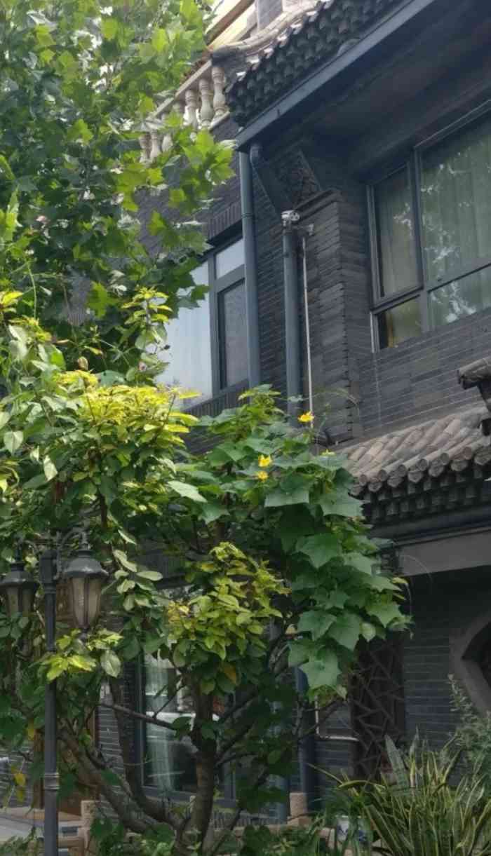 盛津园-"参加活动去的,环境不错,车不太好停,都是."-大众点评移动版