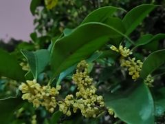 -杭州城北体育公园