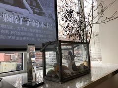 -蝶舍·MAISON PAPILLON