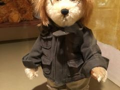 -济州岛泰迪熊博物馆