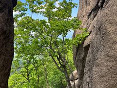 -三块石国家森林公园